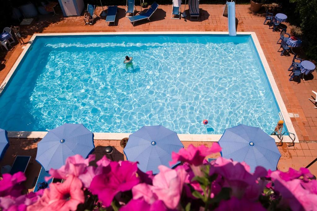 Hotel Leuco' Martinsicuro Zewnętrze zdjęcie